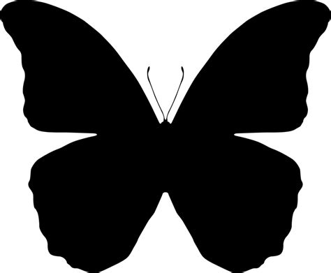 Butterfly Silhouettes - Free Vector Download | Qvectors. - Cliparts.co ...