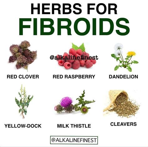 Ria on Instagram: “Purchase your fibroids supplements or tea at ...