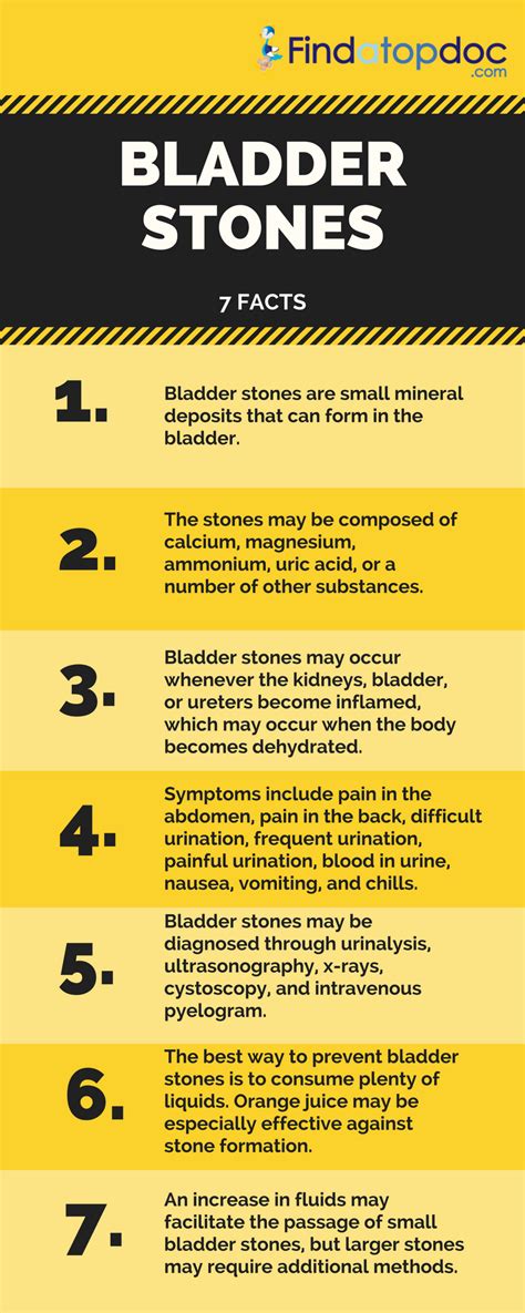 Bladder Stones: Symptoms, Causes, Treatment, and Diagnosis | FindATopDoc