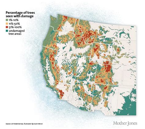 Bark Beetles Are Decimating Our Forests. That Might Actually Be a Good ...