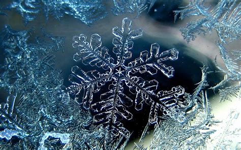 Stunning Macro Snowflake: A Captivating HD Wallpaper