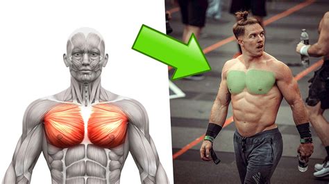 The Ultimate Chest Workout in Only 20 Minutes (for Mass and Muscle ...