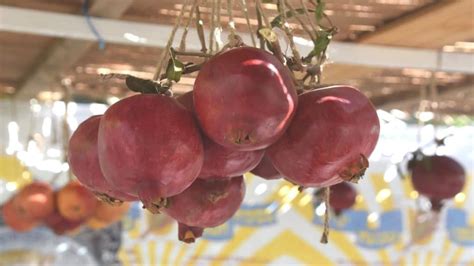 The Perfect List of Sukkah Decorations Ideas for Sukkot - B'nai Mitzvah ...