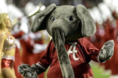 Big Al: The evolution of the Alabama mascot's look throughout the years ...