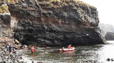 Researchers arrive in Antipodes Island to track albatross | Mirage News