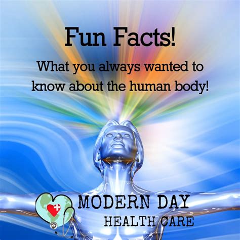 Fun Facts about the Human Body