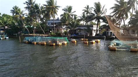 Cochin backwaters - YouTube