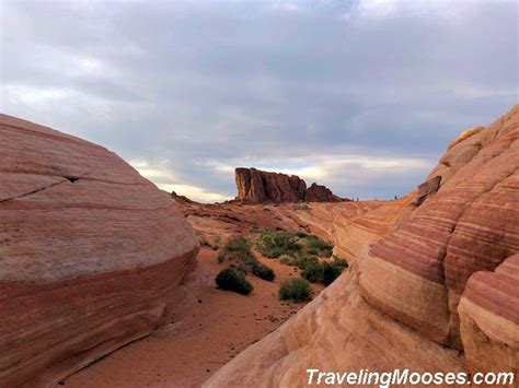 Hiking the Fire Wave Trail in the Valley of Fire | Traveling Mooses