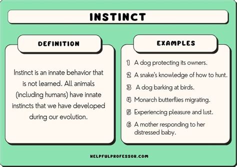 31 Instinct Examples (In Humans and Animals) (2024)