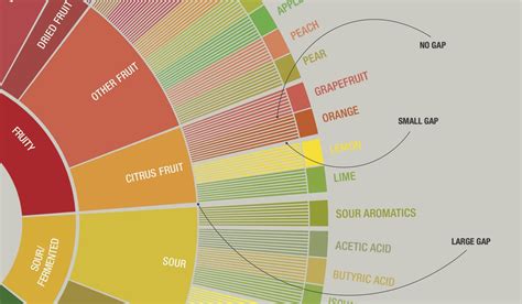 How to Use the Coffee Taster’s Flavor Wheel in Eight Steps — Specialty ...