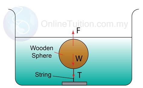 Examples Of Archimedes Principle