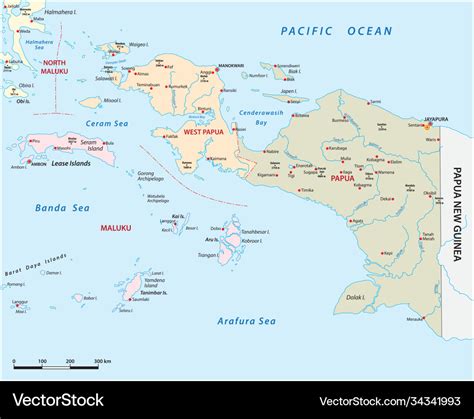 Map indonesian provinces papua west papua Vector Image