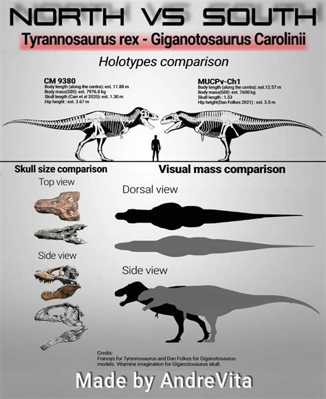 Tyrannosaurus rex (specimen CM 9380) vs Giganotosaurus Carolinii ...