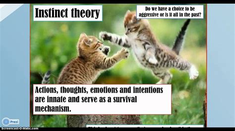 Instinct Theory - YouTube