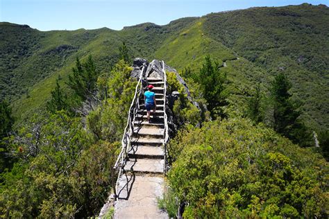 Madeira Hiking Experience - The beautiful island of flowers