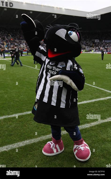 Newcastle united magpie hi-res stock photography and images - Alamy