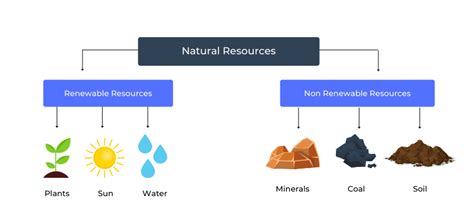 Natural Resources: Definition, Types, and Examples