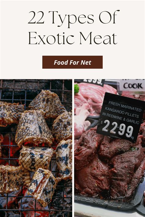 22 Types Of Exotic Meat That Will Blow Your Mind | Food For Net