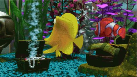 Nemo Bubbles GIF - Nemo Bubbles Aquarium - Discover & Share GIFs