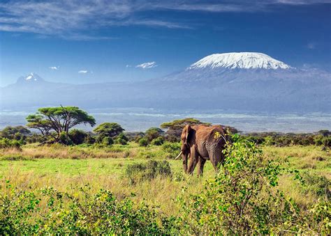 Visit Mount Kilimanjaro on a trip to Tanzania | Audley Travel US