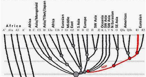 ATLANTEAN GARDENS: Scientific Research on the Aryans - ROBERT SEPEHR