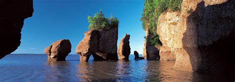 THE BEST 15 Things To Do in New Brunswick | Attractions & Activities ...