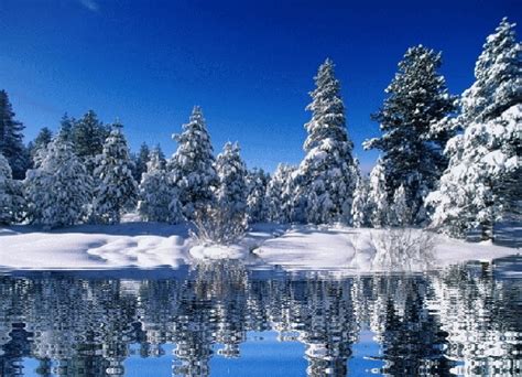 Free download com download free Snow Nature and landscapes Animated ...