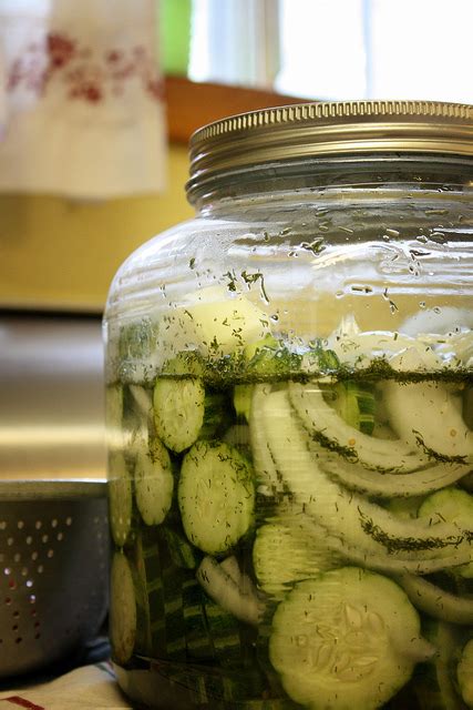 Unbelievably Easy, Sweet Pickled Cucumbers. {Recipe} | elephant journal