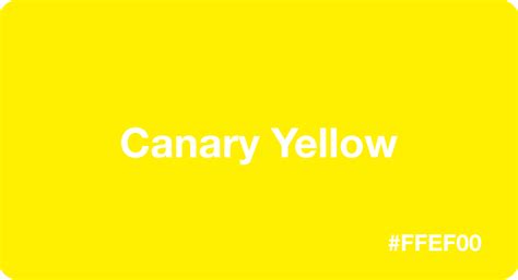 Canary Yellow Color: Best Practices, Color Codes, Palettes & More!