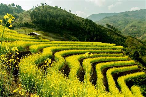 Vietnam hiking trails — Top 5 beautiful trails for hiking and trekking ...