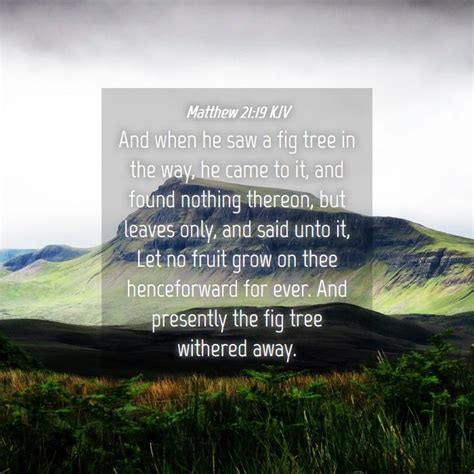 Matthew 21:19 KJV Bible Verse Images