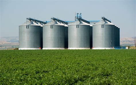 Silos Bulk Storage | Why Silos Are The Best Form Of Bulk Storage