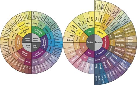 We’ve got a third coffee flavor wheel now | Coffee flavor, Flavors, Coffee