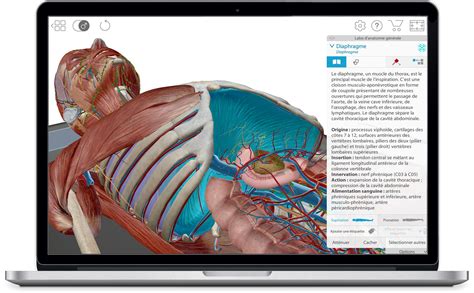 Atlas d’anatomie humaine - Atlas visuel en 3D de la micro- et de la ...