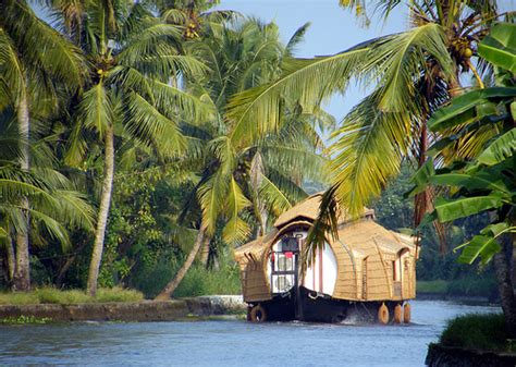 amazing cochin / kochi : Backwaters of Kochi