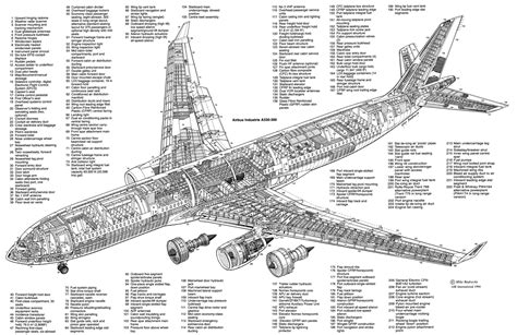 Aircraft Cutaway | Aircraft, Aircraft design, Person drawing