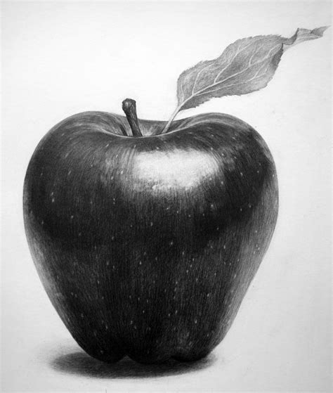 How To Draw An Apple With Shading at Drawing Tutorials