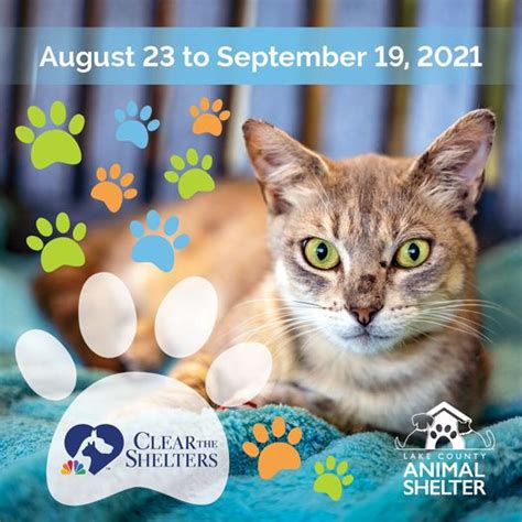 Lake County Animal Shelter participates in Clear the Shelters™ adoption ...