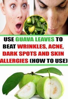 Guava Leaves For Skin - Reciplaza