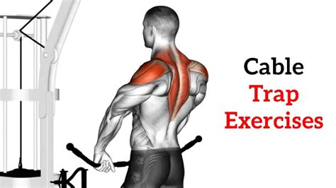 Trapezius Muscle Exercise