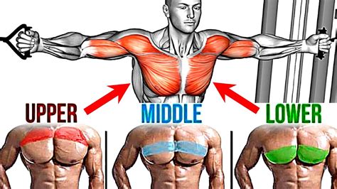 How to Build A Massive Chest (14 Best Chest Exercises You Should Be ...