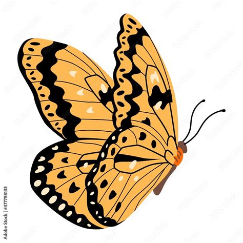 Butterfly vector illustration clipart. Cute Butterfly isolated. Stock ...