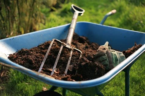 Soil Conditioner: Everything You Need to Know for a Healthy Garden ...