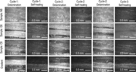 Microscopic view of delamination and healed area of the composites ...