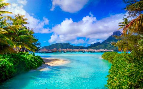 Bora Bora, French Polynesia, Nature, Landscape, Beach, Sea, Palm Trees ...