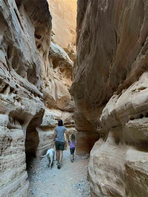 Photos of White Domes Trail - Nevada | AllTrails