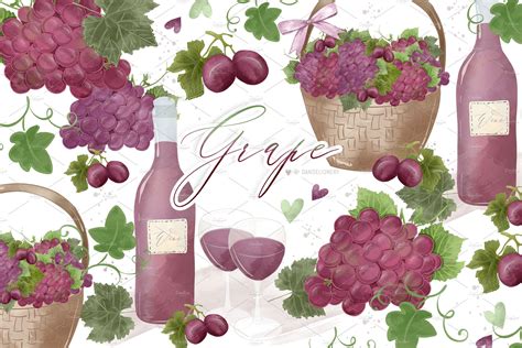 Grape design | Illustrations ~ Creative Market