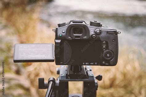 Open back of camera filming water with yellow reeds and garass ...