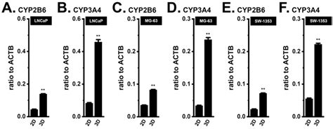 Comparison of CYP2B6 and CYP3A4 mRNA expression levels between 2D ...