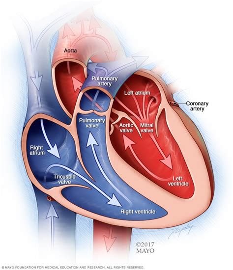 Edema Pulmonar - Mind Map